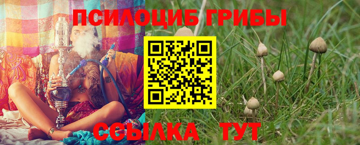Куйбышев  Псилоцибиновые грибы Psilocybe  Вход с VPN 